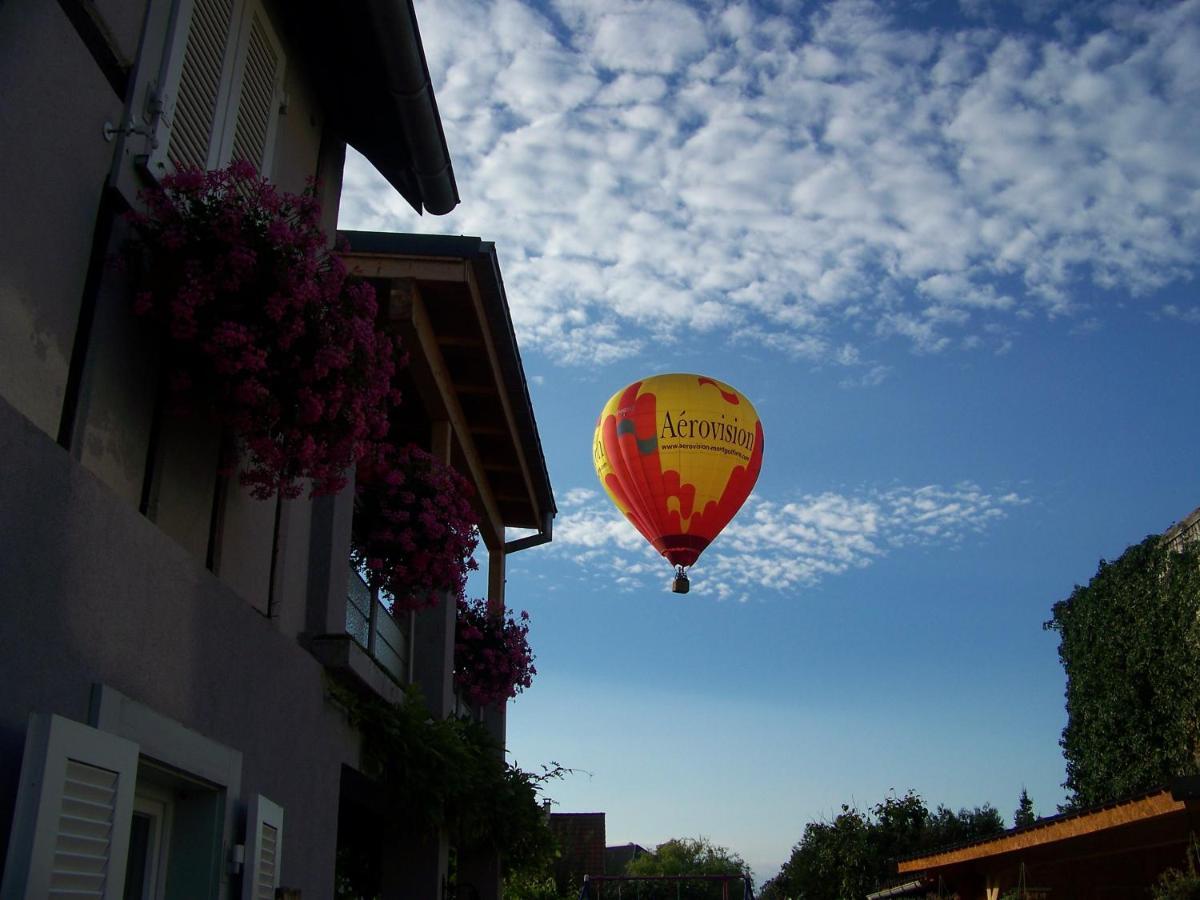 C' 1 Comble Villa Bischwihr Dış mekan fotoğraf